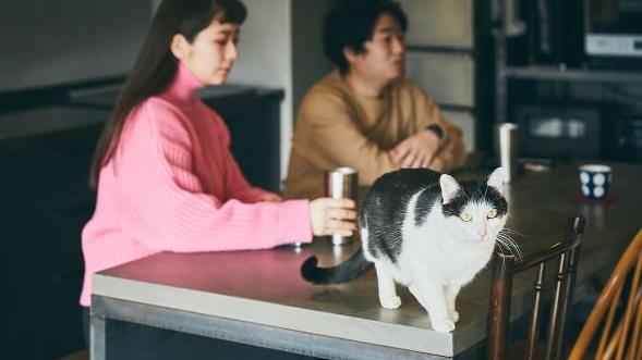 日本情侣的60㎡新居，不刷墙不吊顶，全屋毛坯风，超好看