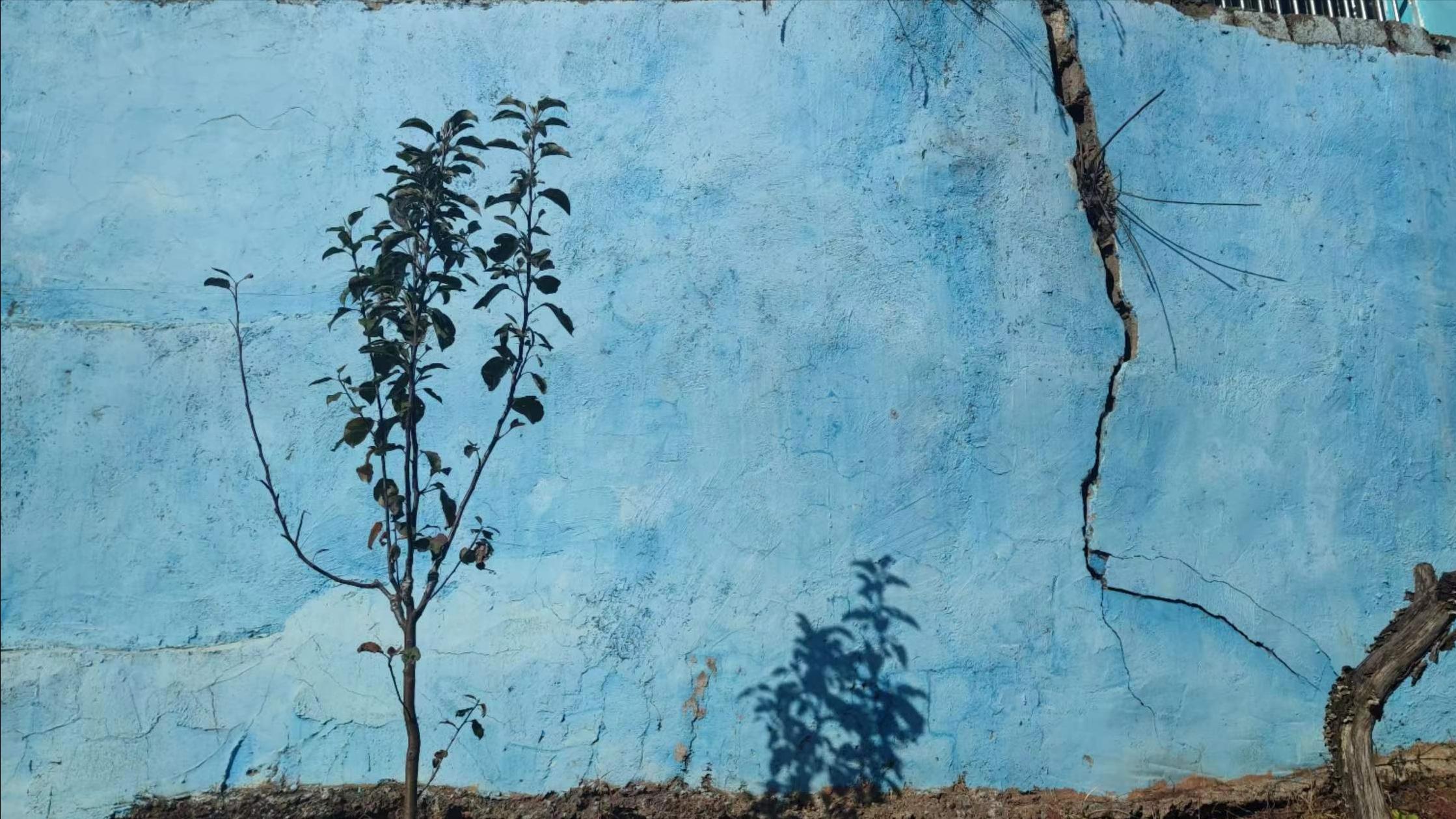 爱彼迎|传统的跟团游面临监管和消费需求转变的双重挑战！