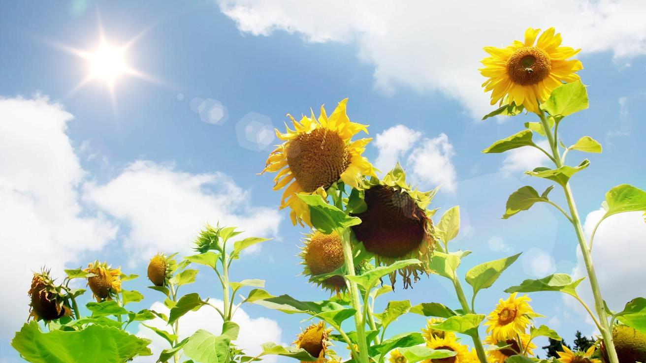 |领导不愿为员工做事的5种表现，你中了几个？