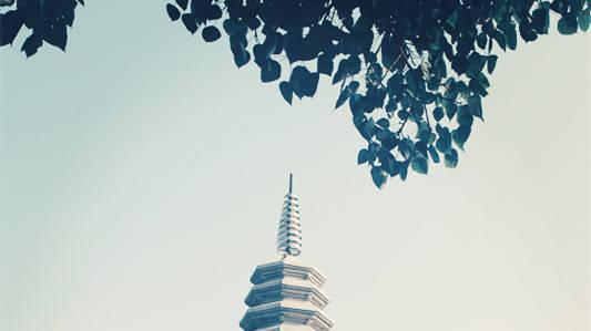 中国科学院大学|我国唯一超越清华北大的大学，实力不容小觑！