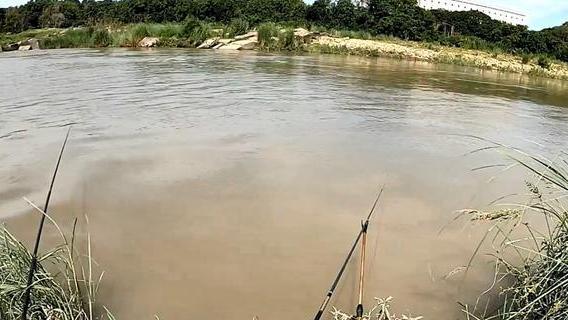 死水|夏季钓鱼，何时钓深，何时钓浅？要想钓得多，牢记这“5大选择”