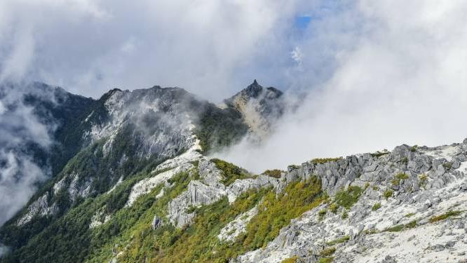 郁亮|万科郁亮的讲话很吓人，却佐证了家电转型的前瞻性！