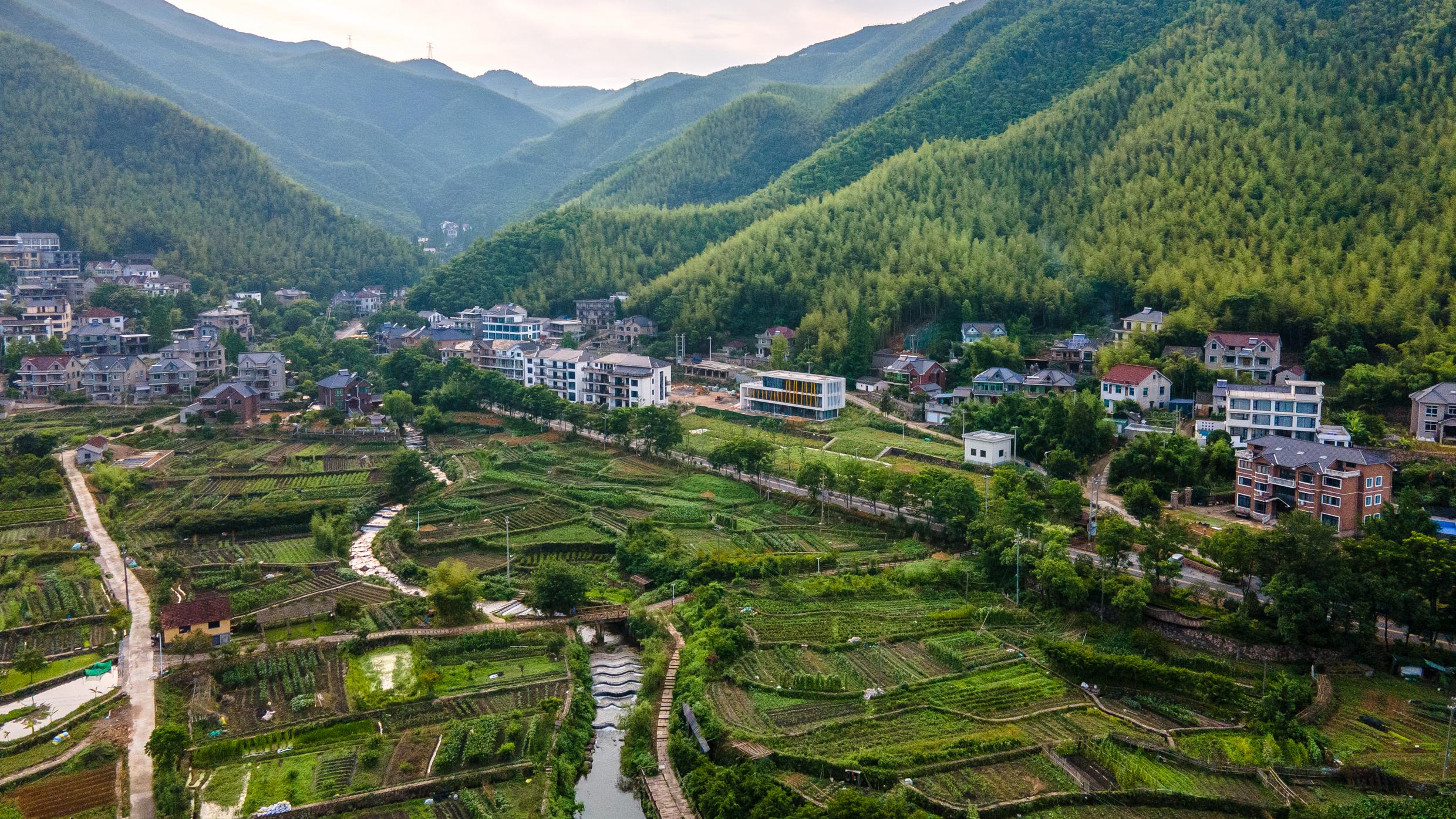 黄龙|炎炎夏日，在莫干山下与山水为邻鸟鸣为伴，是种怎样的体验？