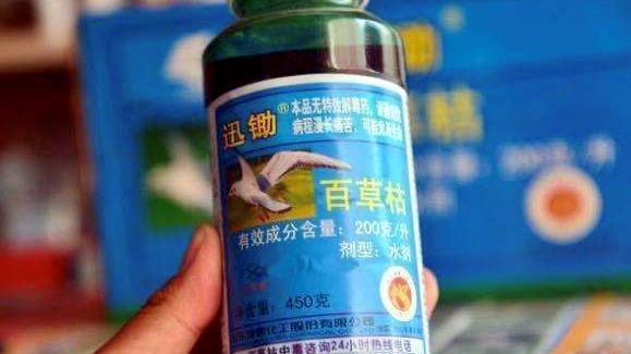 “绝命毒药”百草枯其实早有解药，2012年发现因3个原因无人生产