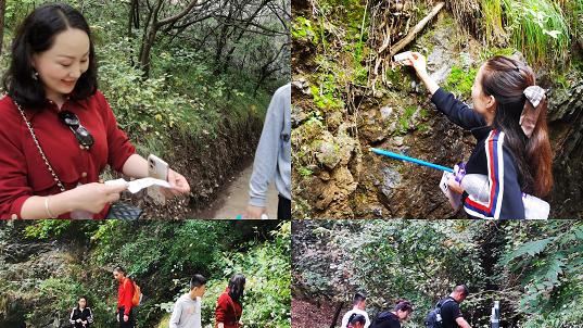 圣米歇尔山|乘无人驾驶旅游观光车寻宝啦！