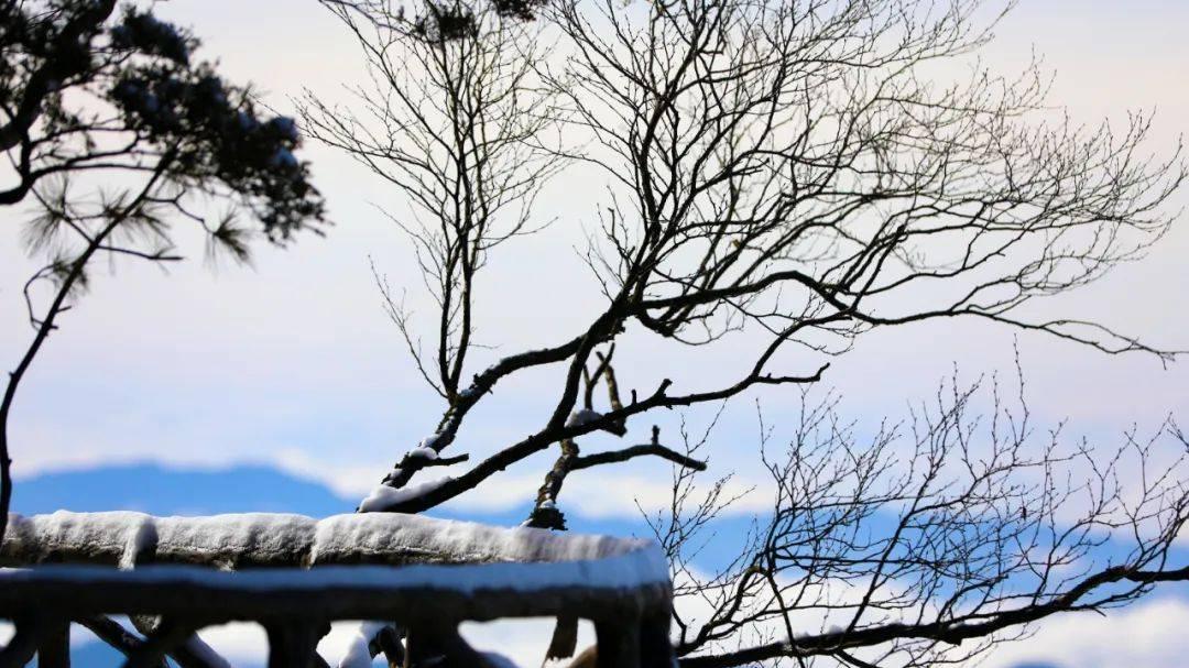 |巴山大峡谷 | 迎来了秋天的第一场雪