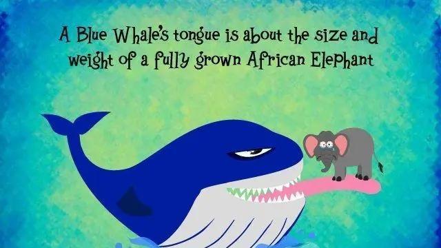 深海中可能存在比蓝鲸还要大的巨型生物吗？为什么？