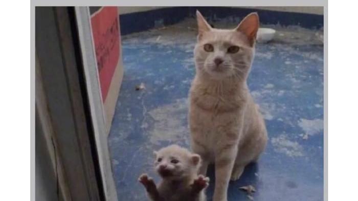 |轻松一刻：如果是这样的话，你现在会在干什么？