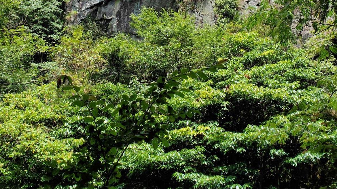 山西省|安徽小众旅游胜地，藏在“神仙居住的地方”
