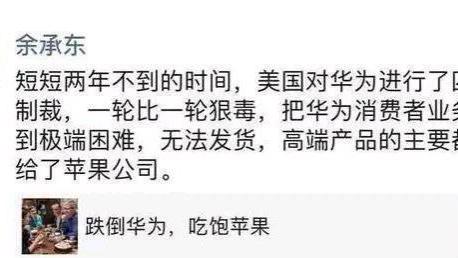 iPad|崛起？苹果狂砍 21% 份额，被华为转手的荣耀拿下第一！