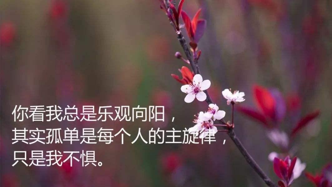 |敢于尝试，才能创造未知的可能......