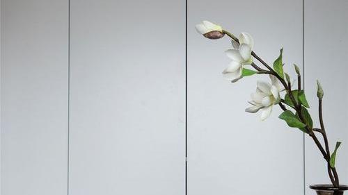 断舍离为什么能火？它真的有用吗