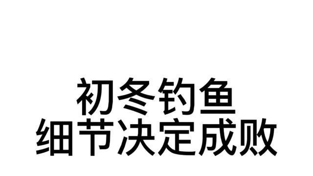 饵料|入冬爆护很难？合格钓鱼佬必知的三大经验，让你随时了解鱼的动向