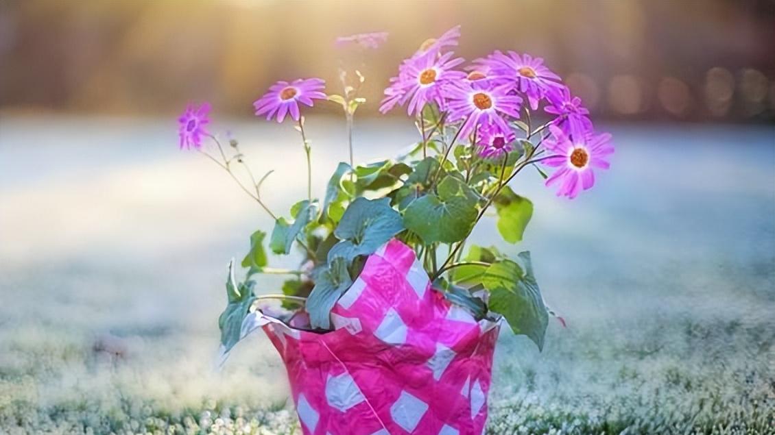 求职|亲戚间血缘再近，也别帮这两种忙，就算得罪人也要拒绝