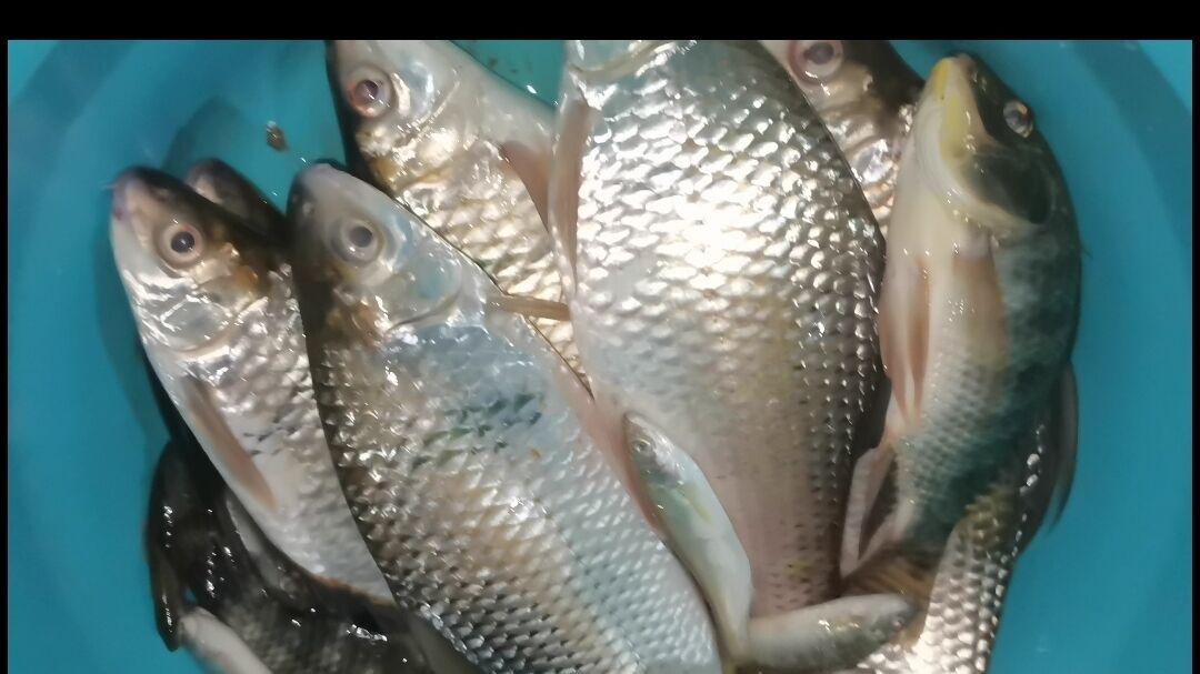 |钓鱼人到底能不能给人安全感