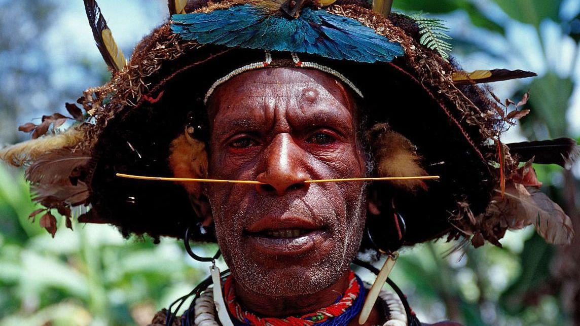 人类诞生以前，是大型生物栖息的时代