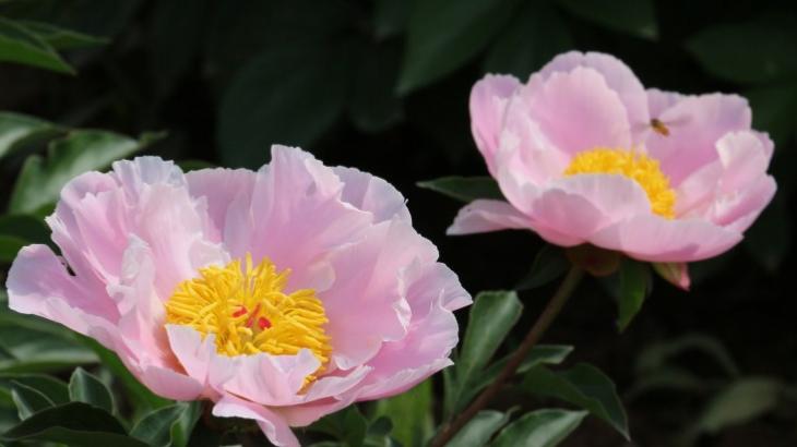 kanavi|一份工作，你如果下了班就不做了，最好就开始就不干这工作