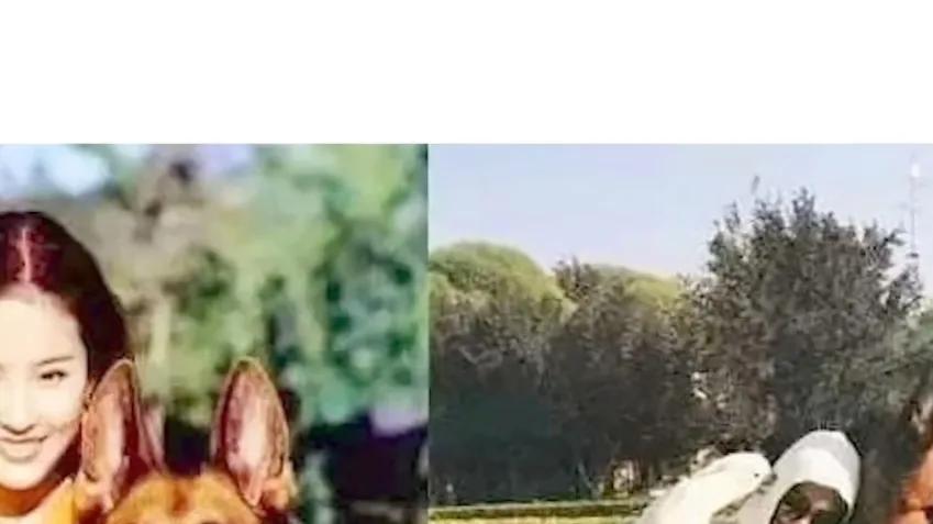 刘亦菲|心机后妈杨采钰，比刘亦菲小5岁却当其干妈，点赞其黑料暴露心机