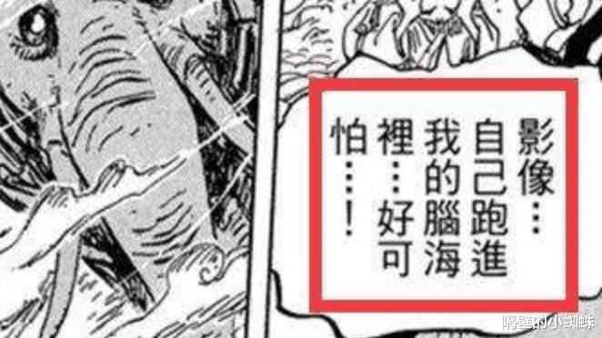 海贼王|海贼王1039话情报：象主与桃之助达成共鸣，它要出手消灭敌人
