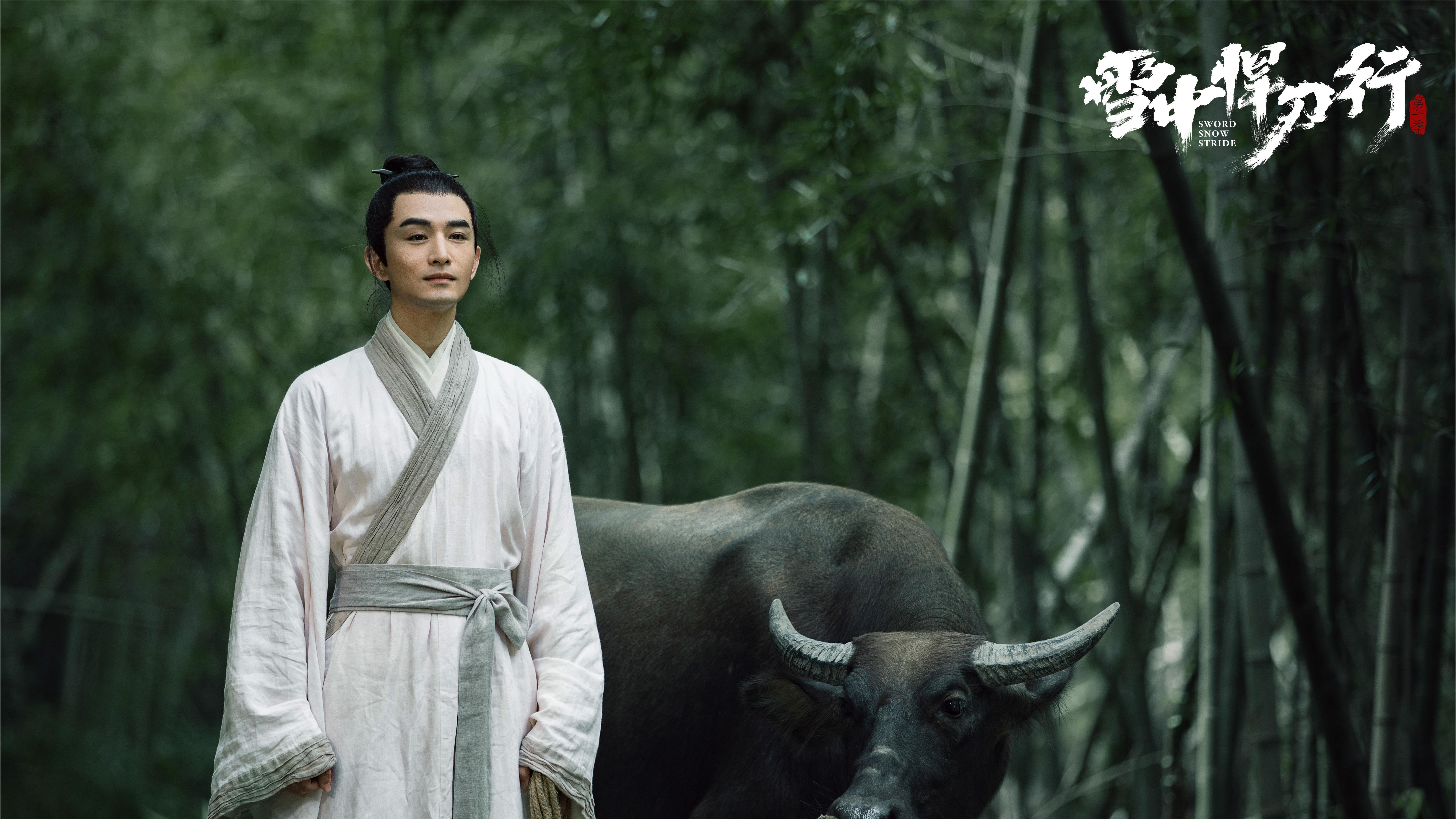 徐凤年|《雪中悍刀行》，所有人都有自己的路要走，却没有一个人能走得更远