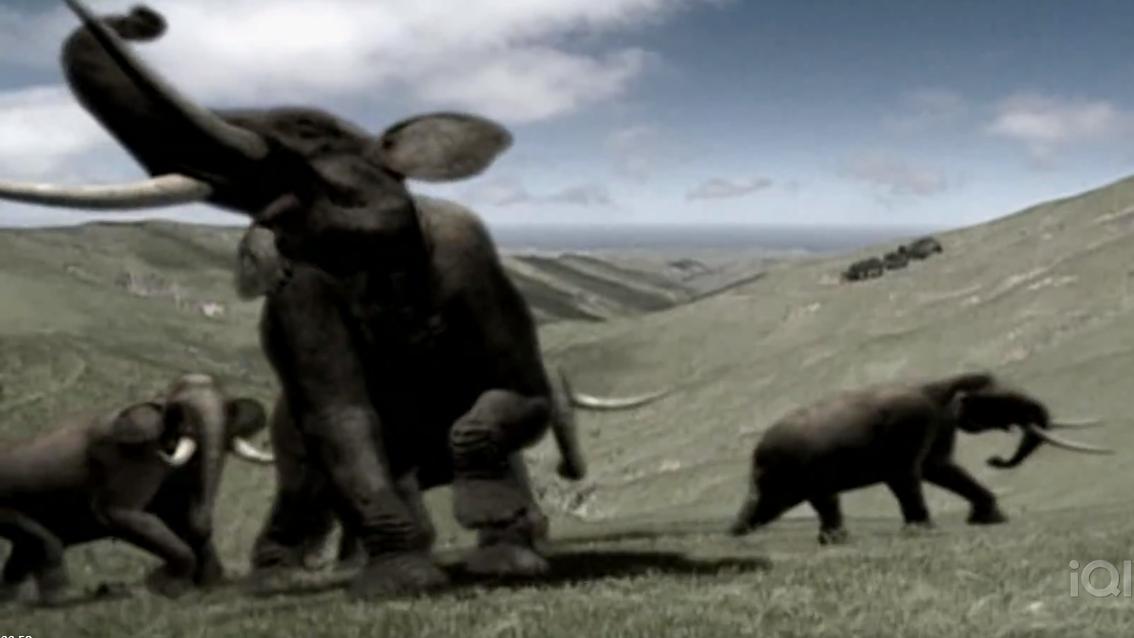 海岛效应！生物演化道路中亘古不变的真理！