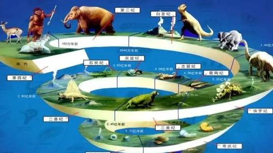 科学家竟通过化石判断恐龙生活习性？化石，不仅仅只是生物遗体！