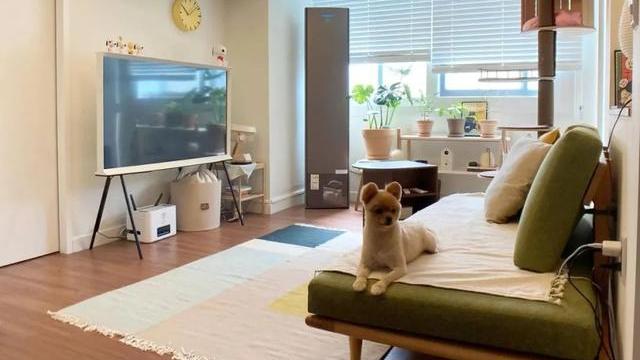 80后空姐的精致生活：独居60㎡小宅，装修简约清爽，超有品味