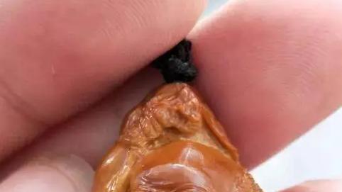 文玩|文玩圈“鬼话连篇”，其中这5句“鬼话”害人不浅，你信就输了！