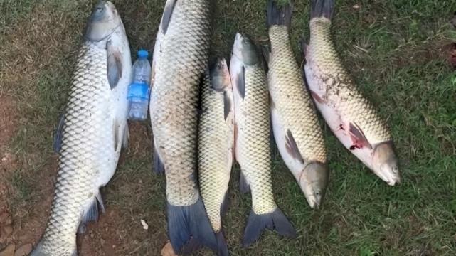 空军|夏钓常“空军”，还在只怪天气热？搞清楚这些重点，鱼获轻松拿捏