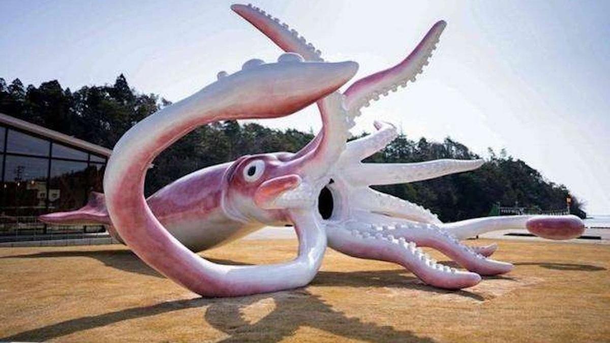 3.5米！超大鱿鱼被冲上海滩吓跑游客，为何深海多巨物？