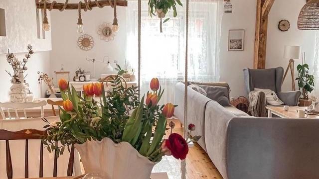 芬兰女主的家，温暖治愈，网友：在她家，我看见了岁月静好的样子