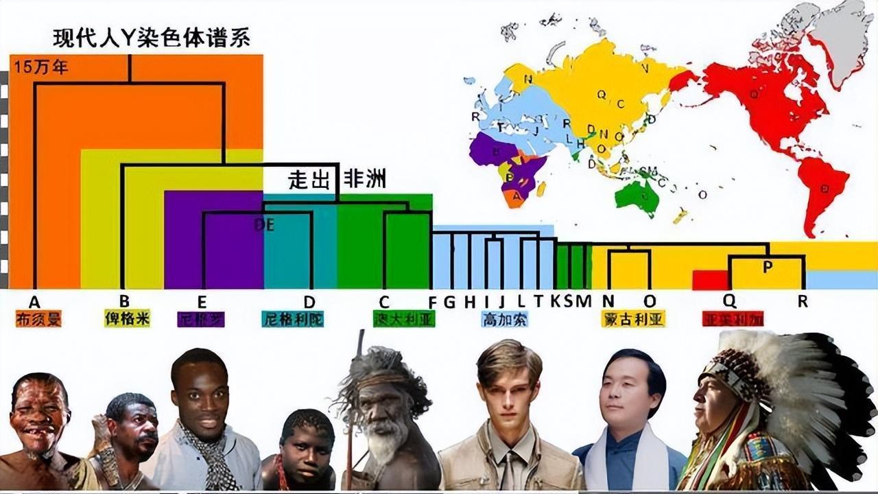 黄种人、白种人和黑种人之间，为什么没有生殖隔离？