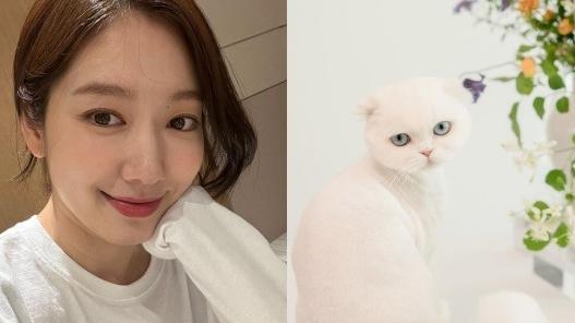 朴信惠|朴信惠公开产后近况 为崔泰俊生下可爱儿子 13岁因天国的阶梯走红