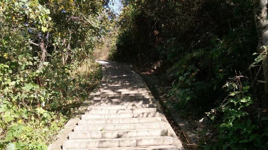 漂亮女子正在擦窗户，来了两个男人，用麻袋将她套走了