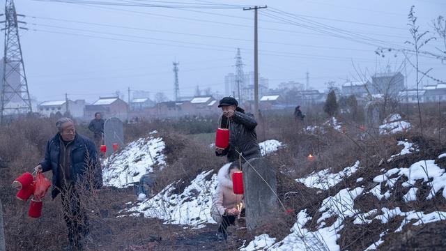 俗话说“坟旁一树生，财散不安宁”，指的是什么树？有道理吗
