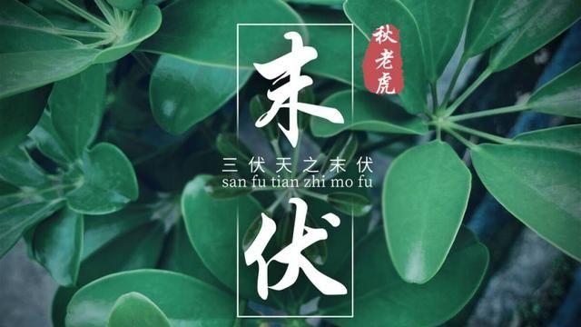 末伏天，是男人进补黄金期，分享3道“扶阳菜”，腰板硬朗更有劲