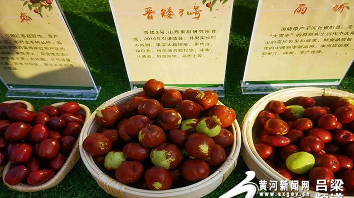 在线旅游|中国·碛口第七届“枣儿红了”红枣旅游文化节暨2022年农民丰收节开幕