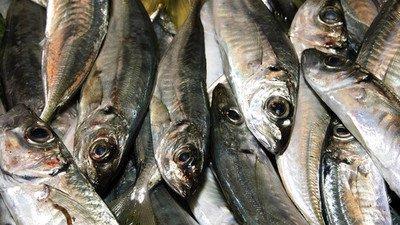 带你了解与巴豆不分伯仲的动物界“开塞露”