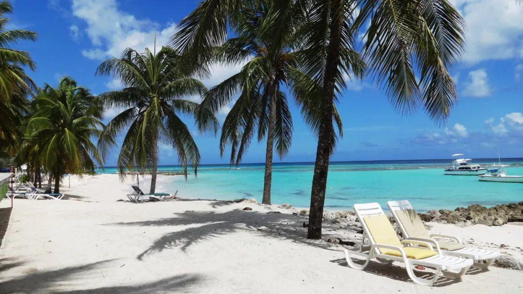 |冬日里的碧海蓝天，椰林长廊，就在海南