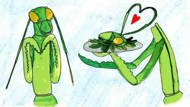 交配明明是为了繁衍后代，为什么雄性海獭，要将雌性折磨致死？