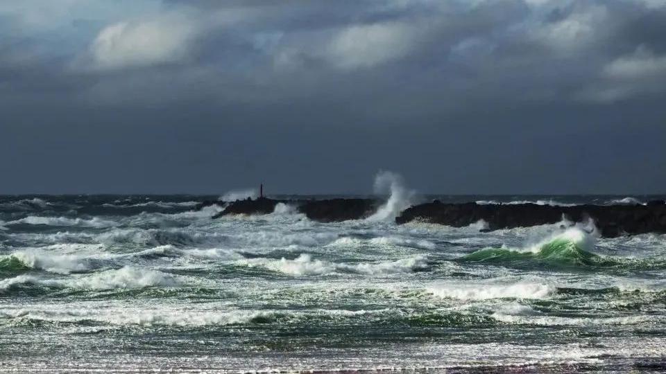 三星电子|市场表现相当差劲, 三星电子中国市场员工减少七成