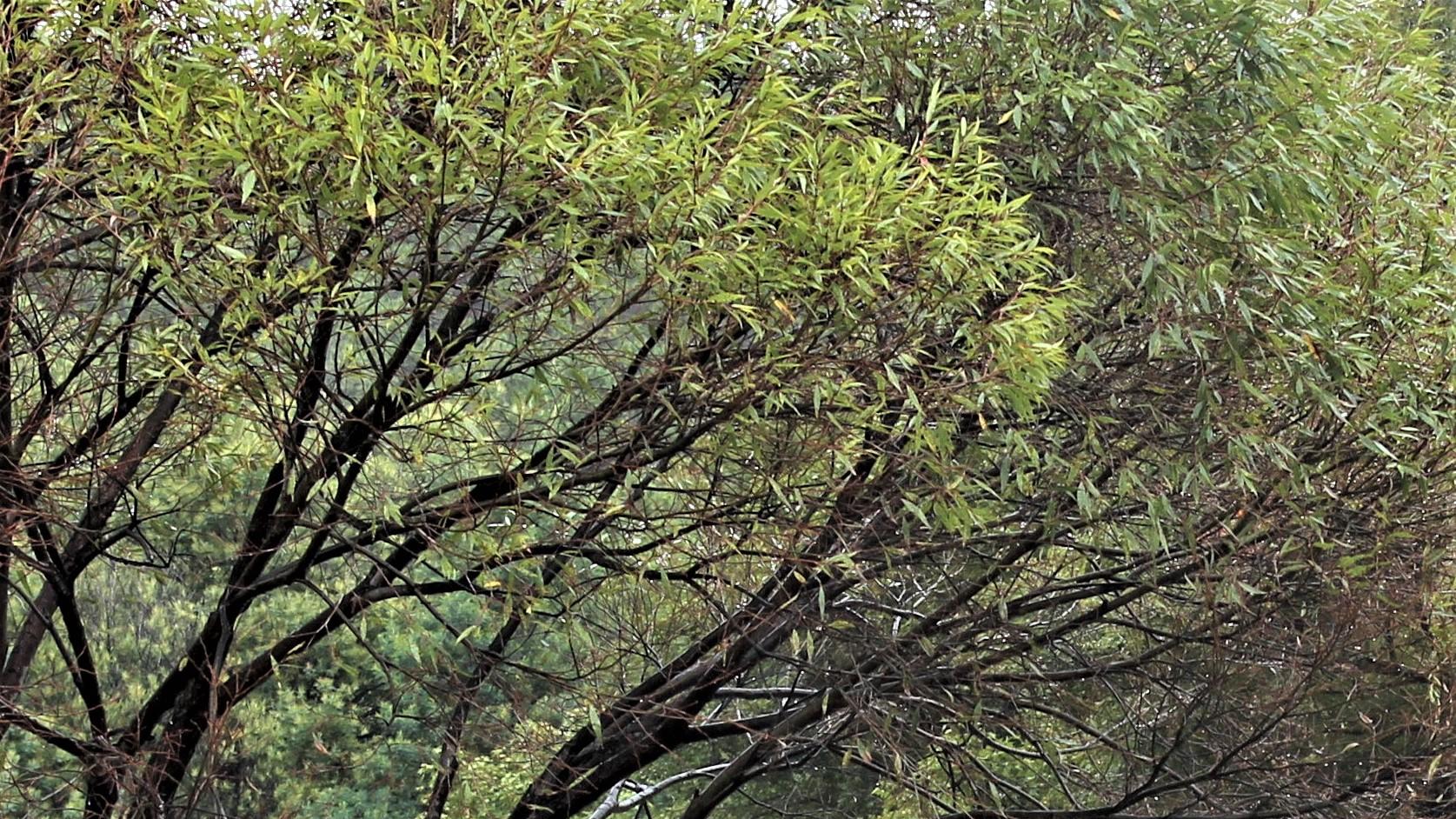 教学|总喜欢抱怨？要么离远点