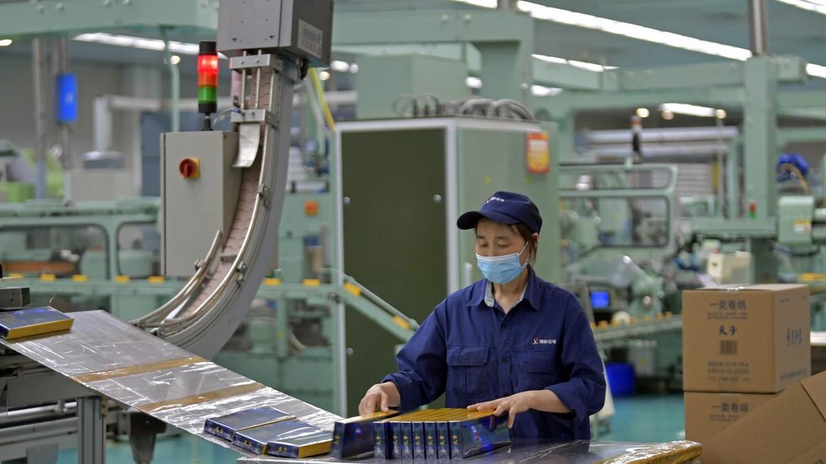 |10月起中国烟草开始招人，专科起报，家里没背景也可以去考