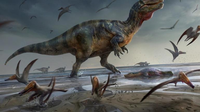英国怀特岛发现欧洲最大肉食恐龙