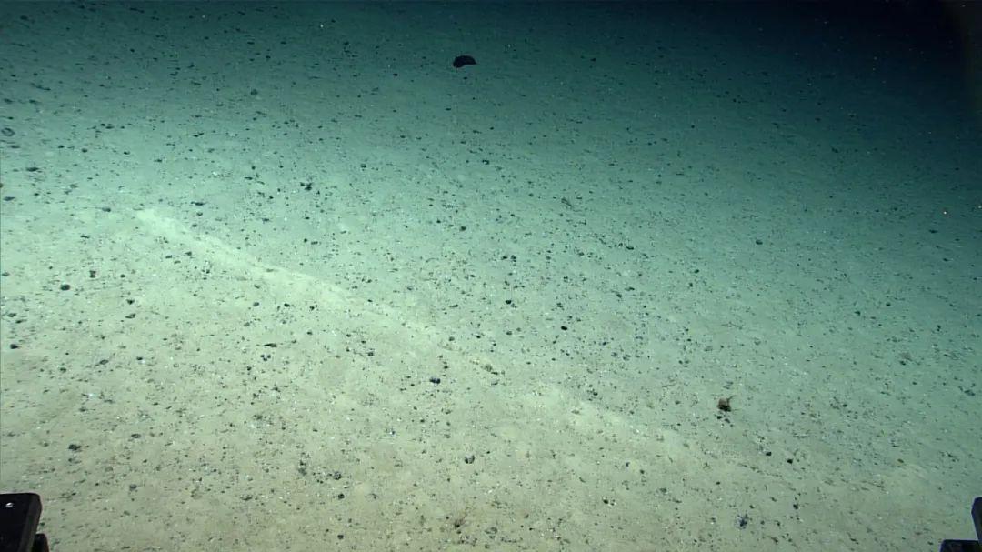 神秘小孔等距排列：科学家在大西洋底发现无法解释的怪现象