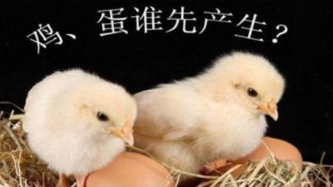 究竟是先有柒号鸡还是先有美学蛋？