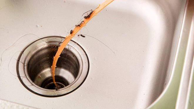 厨房卫生间下水管堵了？别慌，试了这些方法，再花钱请人也不迟！