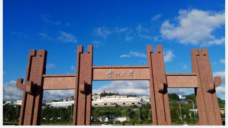 贵州大学|贵州大学2022届保研数据出炉，516人被保送，这些专业保研率较高