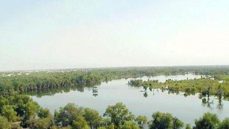 |面积超360万亩，曾为中国第二大咸水湖，罗布泊为何干涸？