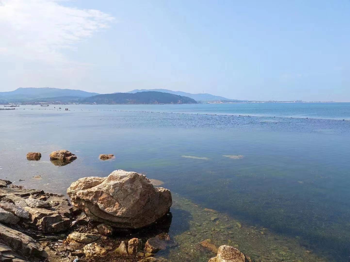 晋宣帝|看“大军师”司马懿怎么混职场